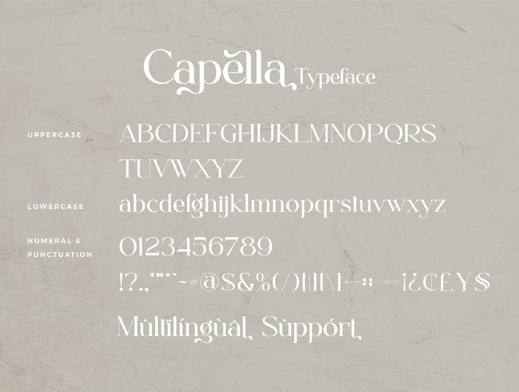Capella时尚的连字衬线字体 Capella psd, ai, ttf, otf格式-字体-到位啦UI